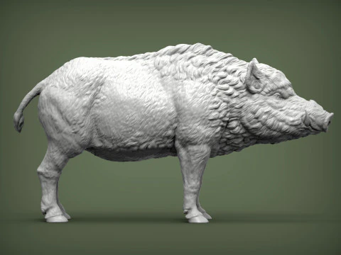 野生野猪3D打印模型 3D 打印模型