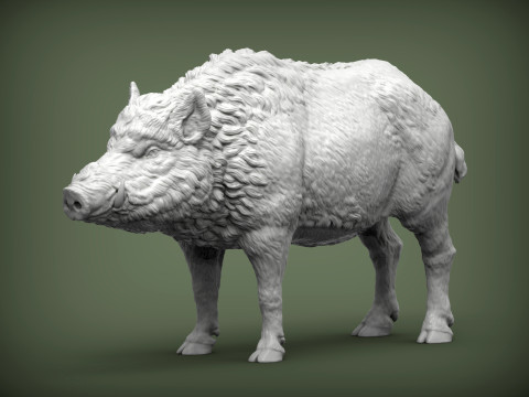 Boar 3D print model wild Modelo de Impressão 3D