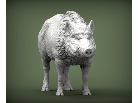 Boar 3D print model wild Modelo de Impressão 3D