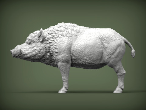 Boar 3D print model wild Modelo de Impressão 3D