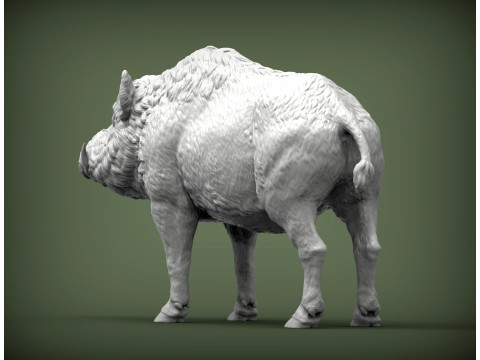 Boar 3D print model wild Modelo de Impressão 3D