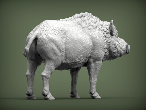 Boar 3D print model wild Modelo de Impressão 3D