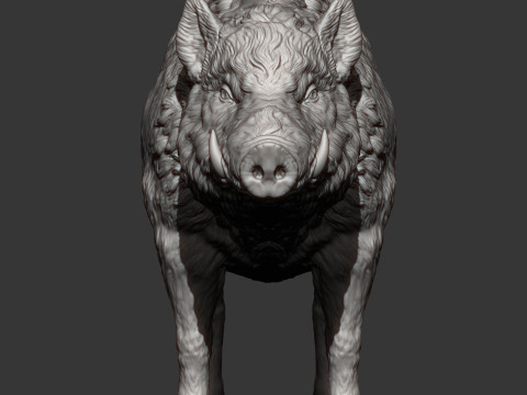 Boar 3D print model wild Modelo de Impressão 3D