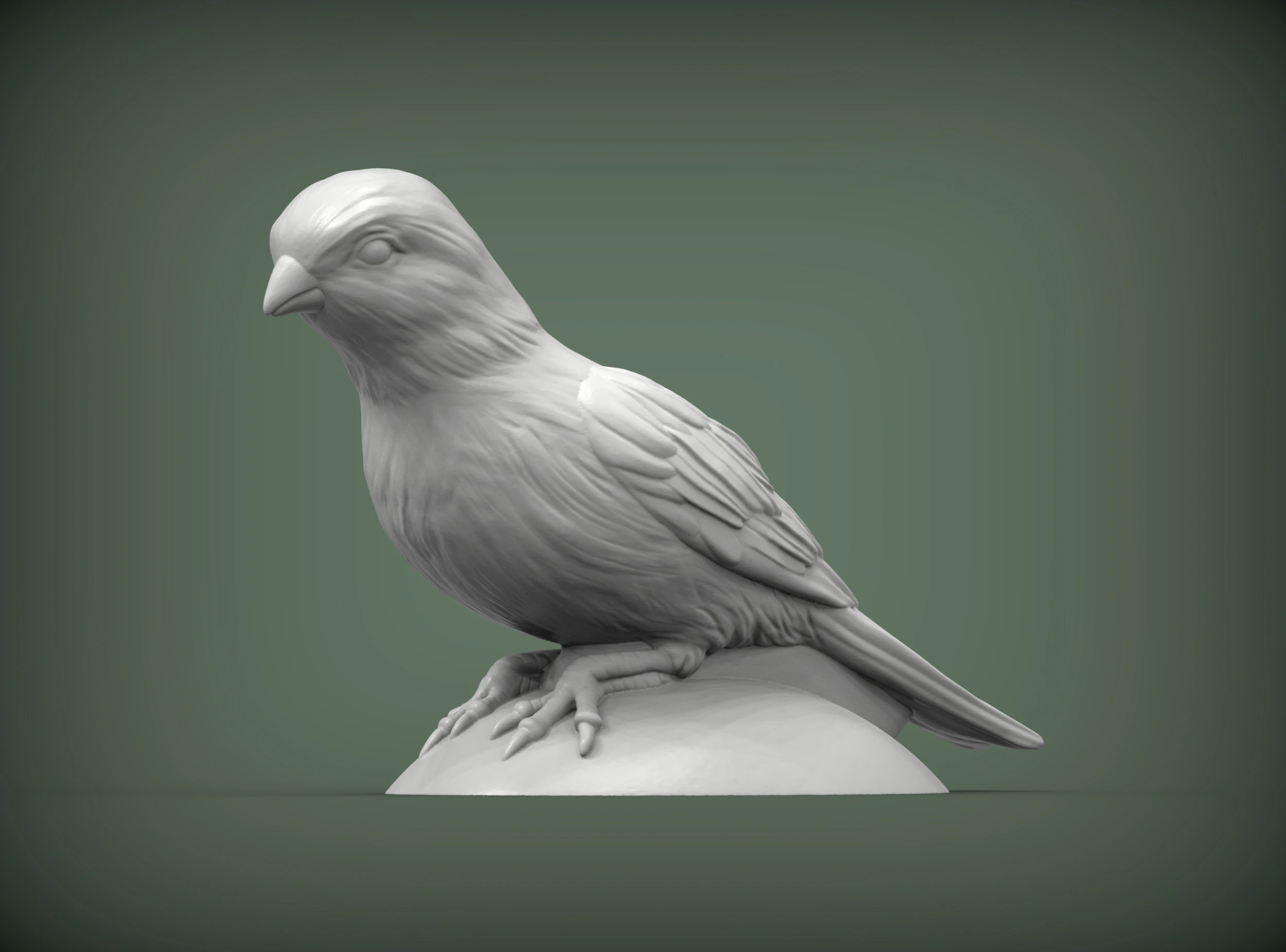 Canary 3D Print Model .c4d .max .obj .3ds .fbx .stl .blend 