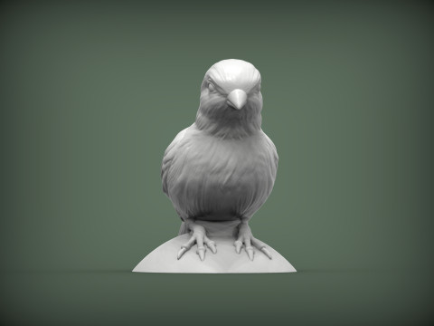 Canary 3D Print Model