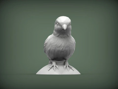 Canary 3D Print Model