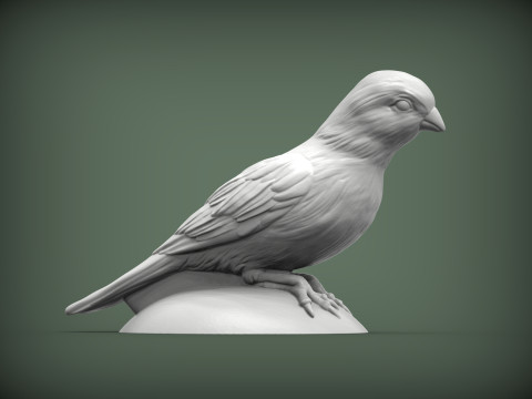 Canary 3D Print Model