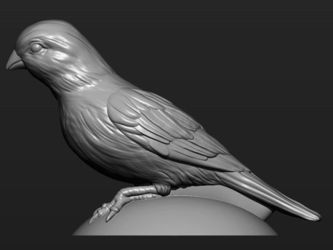 Canary 3D Print Model
