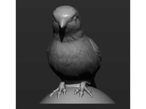 Canary 3D Print Model
