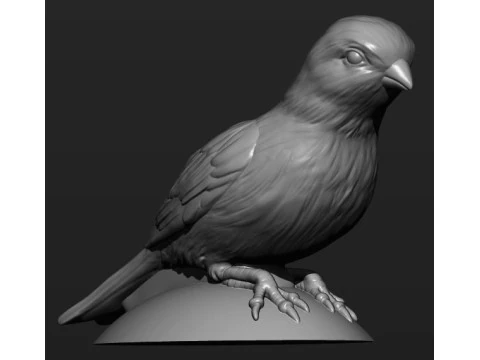 Canary 3D Print Model