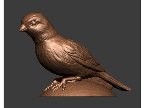 Canary 3D Print Model