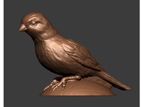 Canary 3D Print Model