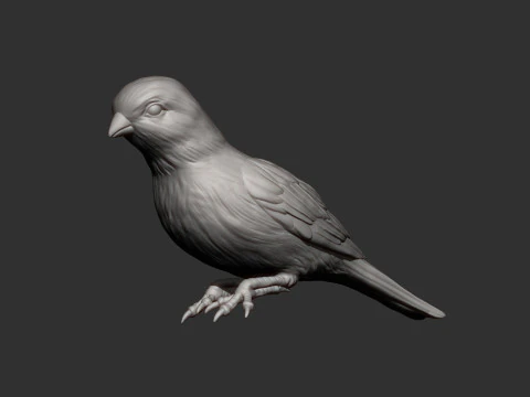 Canary 3D Print Model