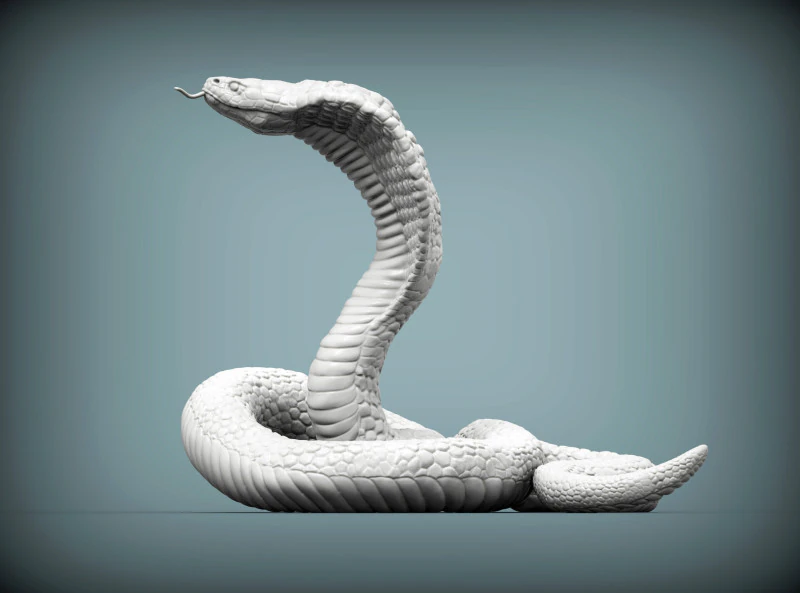 Cobra Modello di stampa 3D .c4d .max .obj .3ds .fbx .stl .blend 
