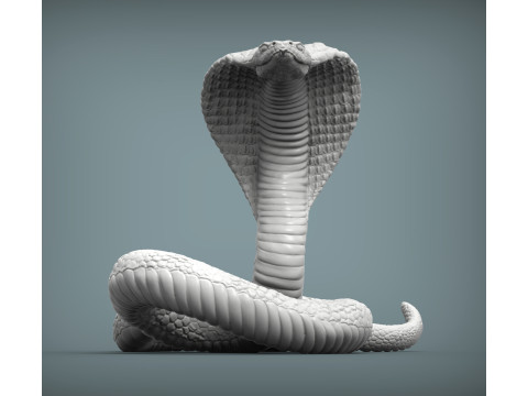 Cobra 3Dプリントモデル