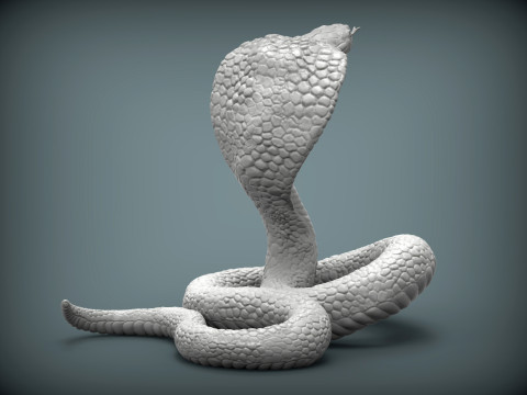 Cobra 3Dプリントモデル