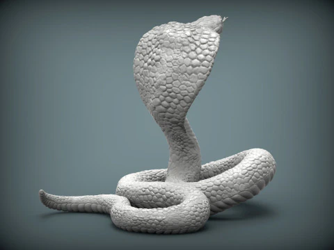 Cobra Modello di stampa 3D