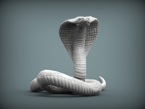Cobra 3Dプリントモデル