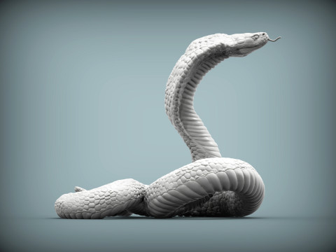 Cobra 3Dプリントモデル