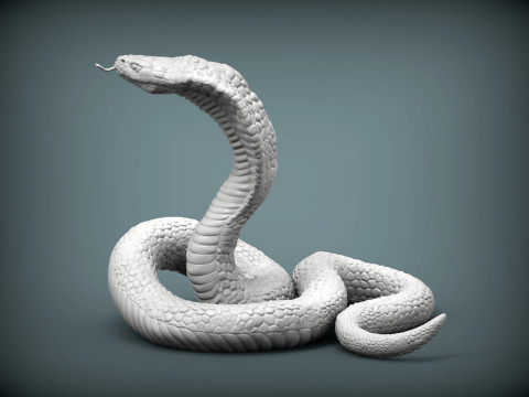 Cobra 3Dプリントモデル