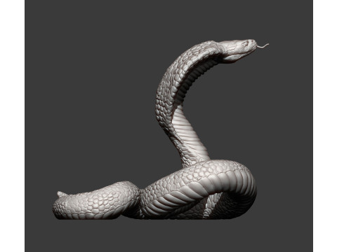 Cobra 3Dプリントモデル