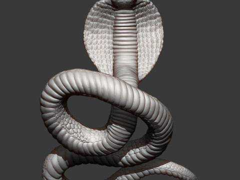 Cobra 3Dプリントモデル