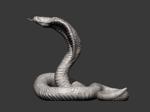Cobra 3Dプリントモデル
