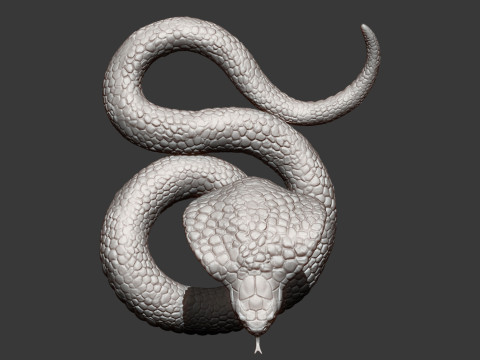 Cobra 3Dプリントモデル