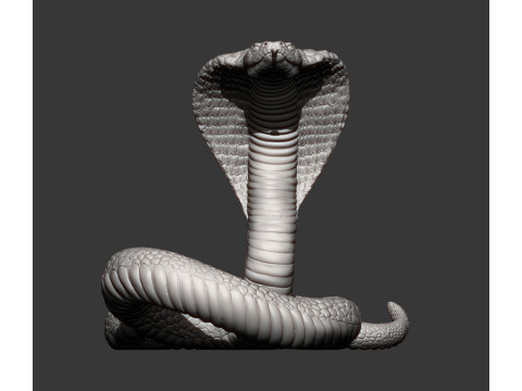 Cobra 3Dプリントモデル