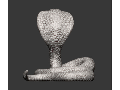 Cobra 3Dプリントモデル
