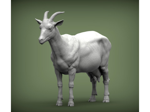 Goat 3D Print Model