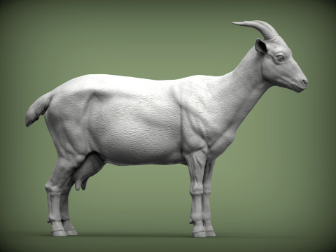 Goat 3D 프린트 모델