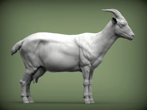 Goat 3D Print Model
