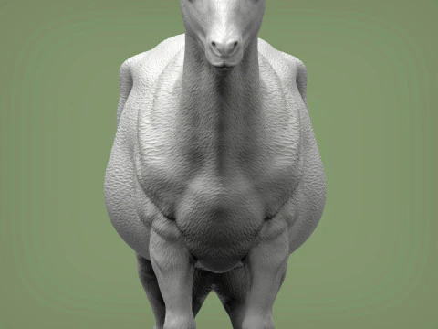 Goat 3D Print Model
