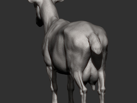 Goat 3D 프린트 모델