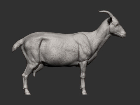 Goat 3D 프린트 모델