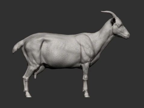 Goat 3D Print Model