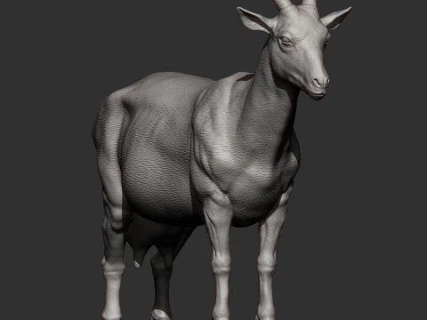 Goat 3D Print Model