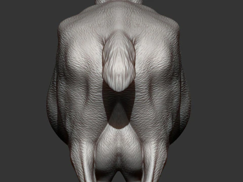 Goat 3D Print Model