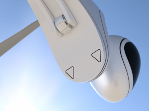 locusta v1 3D Model