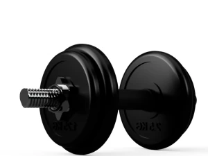 dumbbel 3D Model