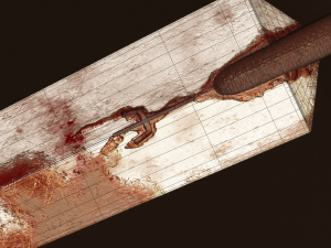 Claymore Claymore Anime Clares Weapon Modello 3D