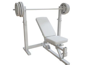 上斜卧推 3D 模型