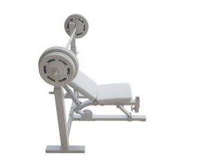 上斜卧推 3D 模型