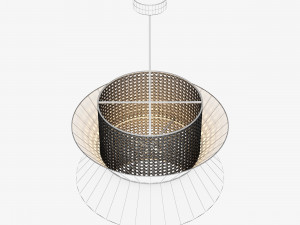 Wicker Hanging Lamp 3D 모델