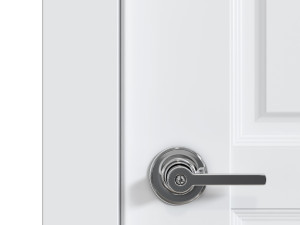 DOOR 3D Model
