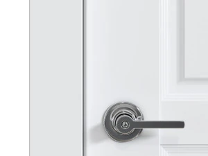 DOOR 3D Model