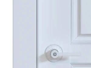 DOOR 3D Model