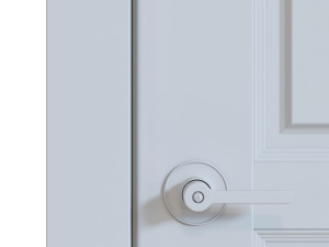 DOOR 3D Model