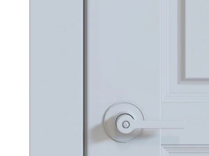 DOOR 3D Model